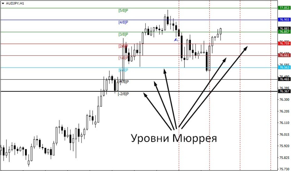 Индикатор автоматически строит уровни Мюррея